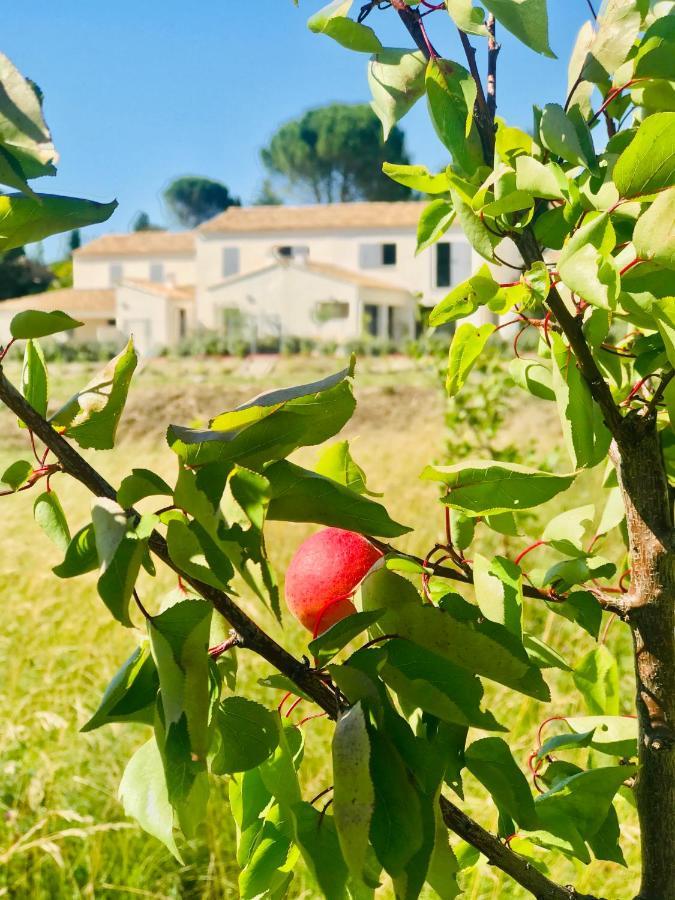 La Maison D Ame - For The Perfect Stay At The Mont Ventoux Malaucene Ngoại thất bức ảnh